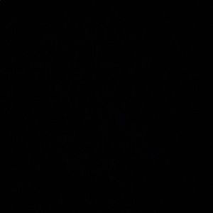 Meet your Posher, Williea